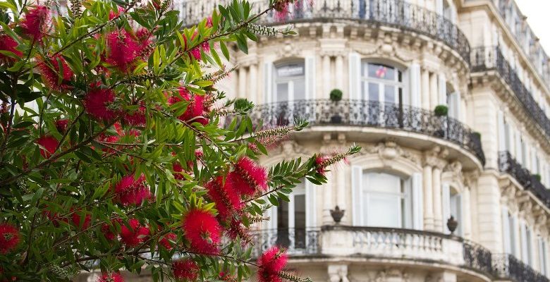 L’Élagage: Comment une entreprise locale à Montpellier embellit la ville