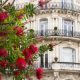 L’Élagage: Comment une entreprise locale à Montpellier embellit la ville